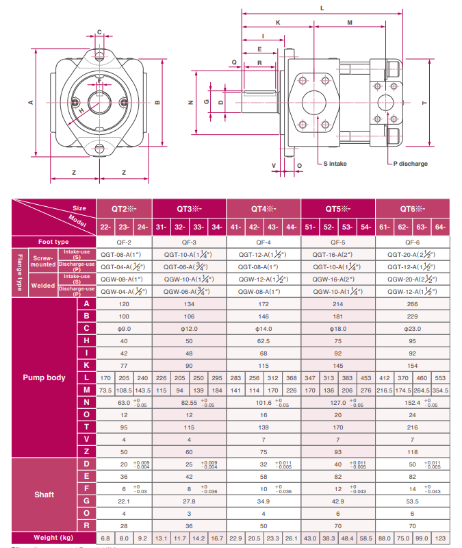 QT INTERNAL GEAR PUMP