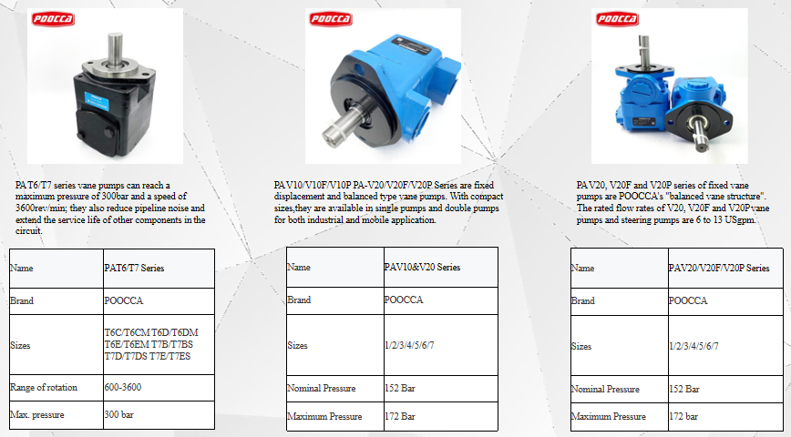 POOCCA Guide: Choosing Between Single and Double Vane Pumps for Efficiency-2