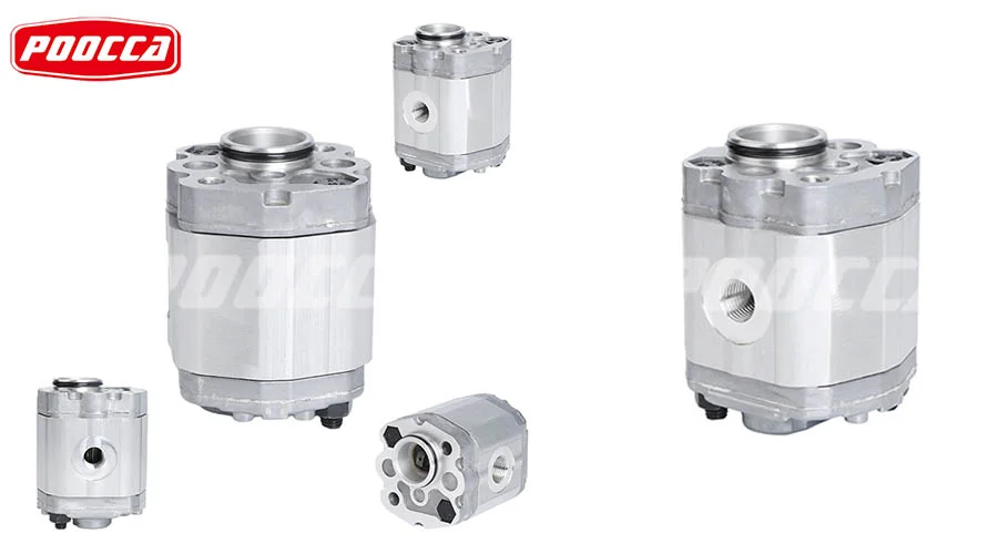 Everything You Need to Know About Hydraulic Gear Motors-3