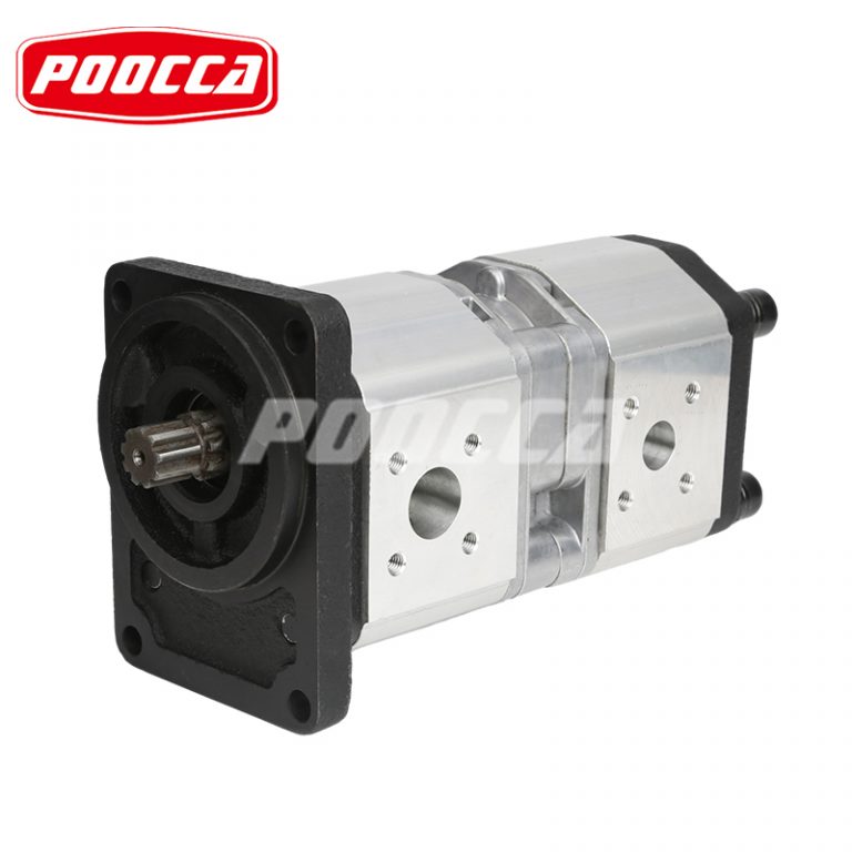 SALAMI 2PE gear pump (1)