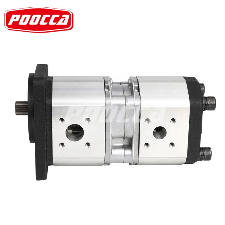 SALAMI 2PE gear pump (2)