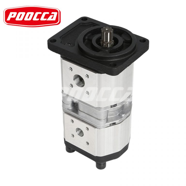 SALAMI 2PE gear pump (4)