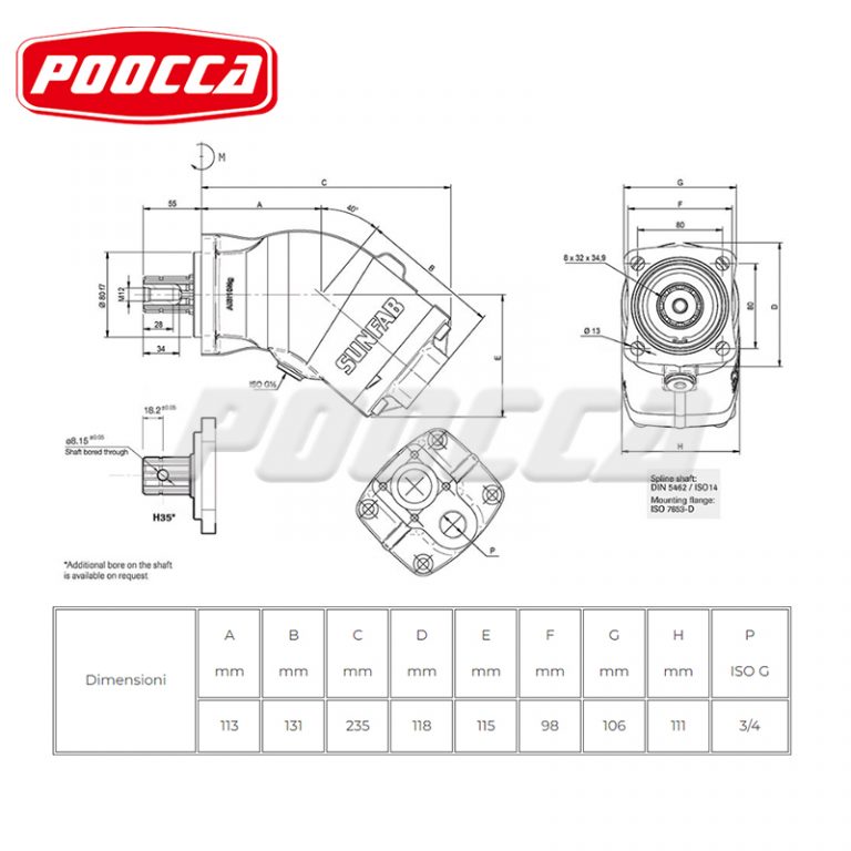 sap piston pump (2)